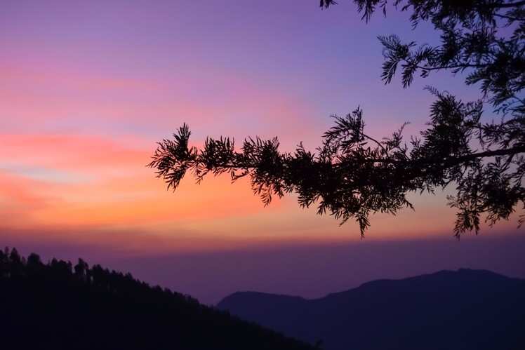 Yercaud Hike via Yercaud Top, Tamil Nadu, India - 16 Reviews, Map |  AllTrails